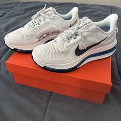 Size 9 - Nike Pegasus Premium