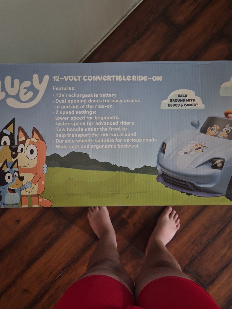 Bluey Car 12 volts