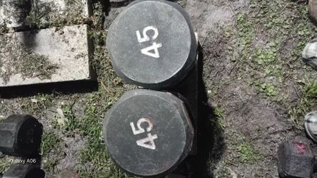 Gym Dumbbells