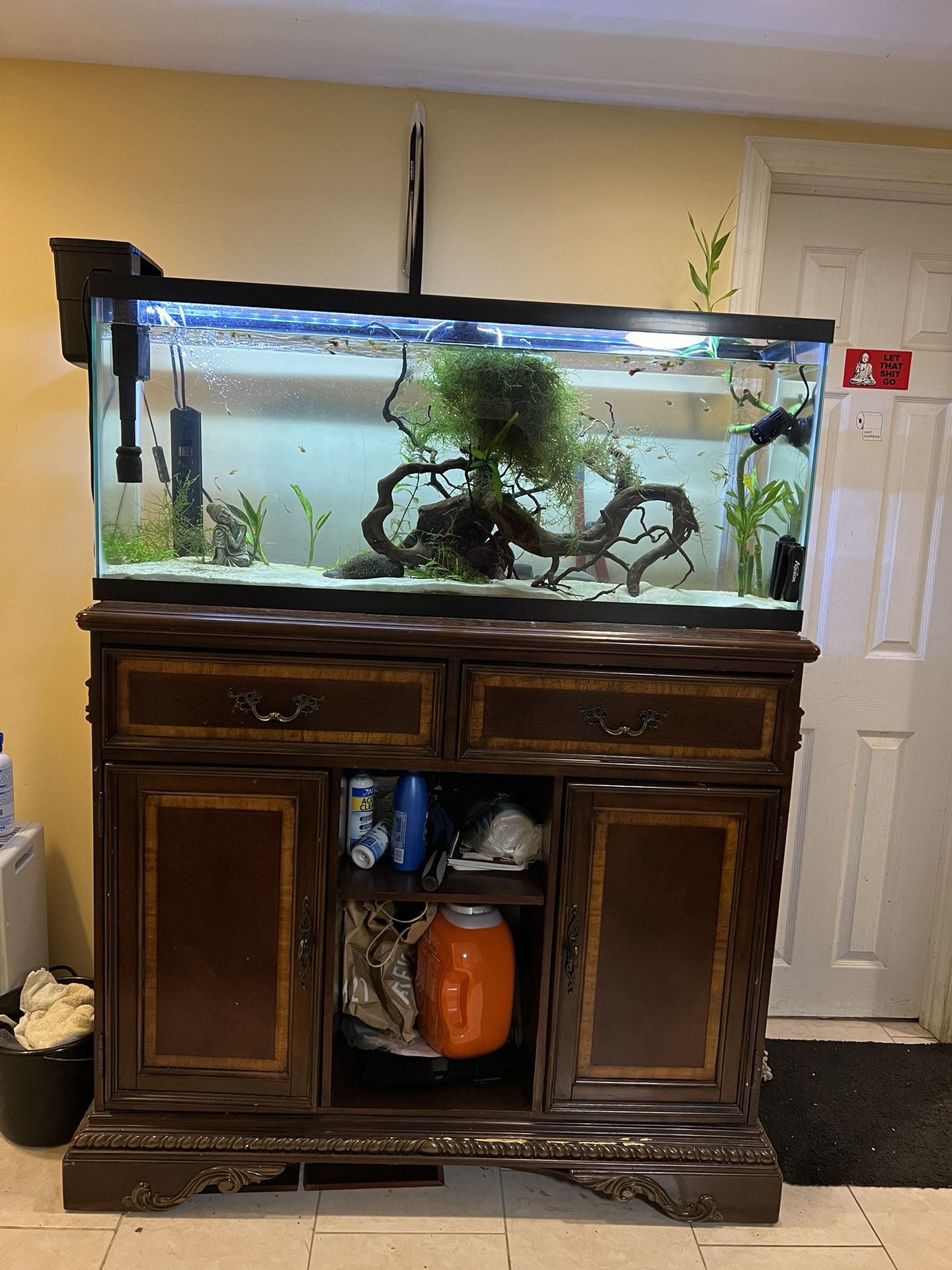 55 Gallon Long Aquarium + Drift Wood + Table For Sale 
