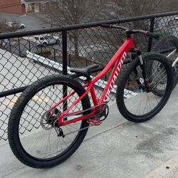 Custom Specialized Dirt Jumper