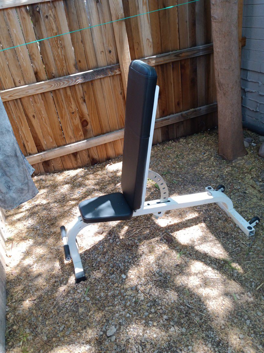 Olympic  Weight Bench