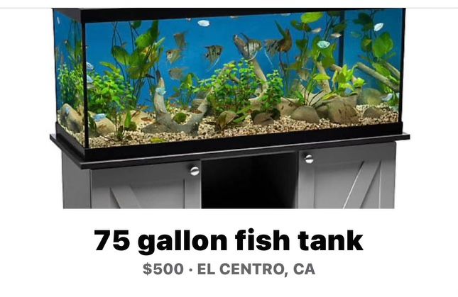 75 Gallon Fish Tank 