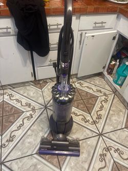 Dyson vacuum cleaner for dog
