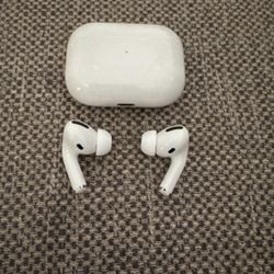 Apple Earbuds