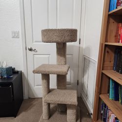 Tall Cat Tower, Scratching Post
