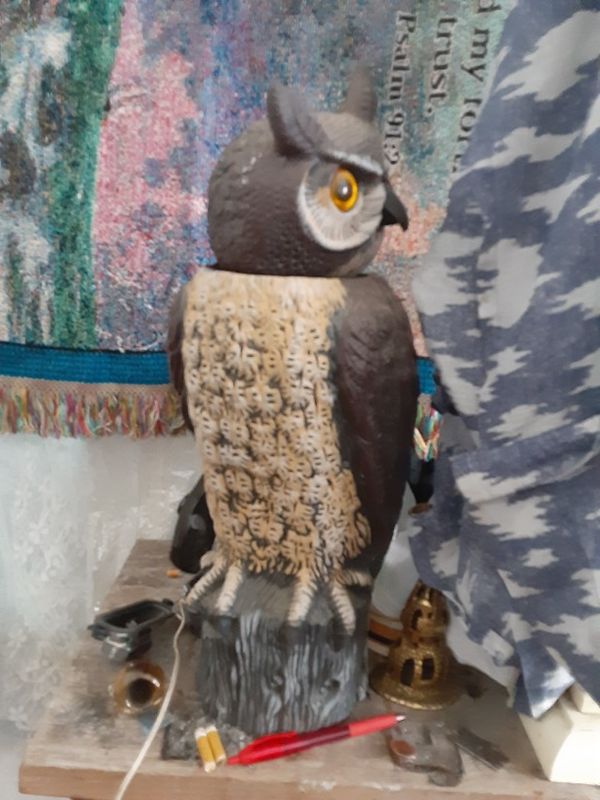 A plastic owl to scare the birds rotating head for Sale in San Antonio