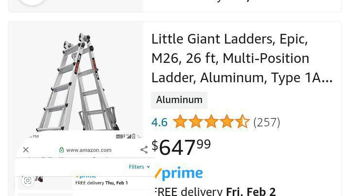 Aluminum Ladder Little Giant