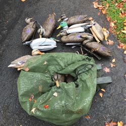 12 Duck Decoys With Carry Bag