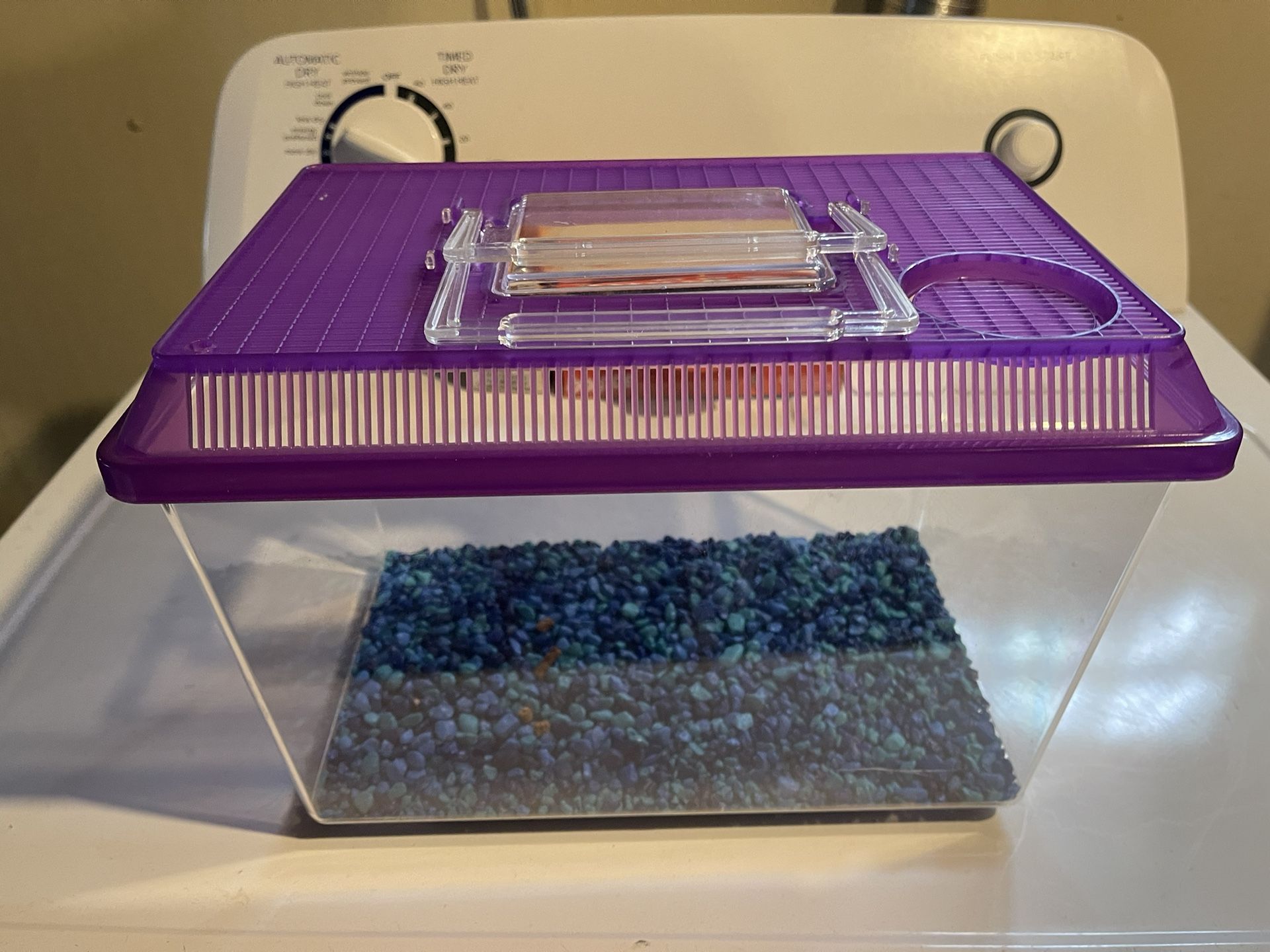 Small Beginners Aquarium With Gravel Included 