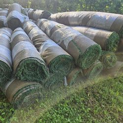 Nice Used Turf Rolls in KY! 