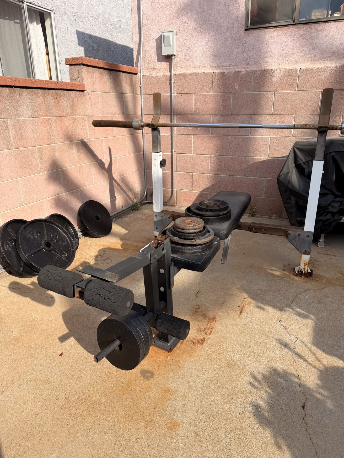 Workout Bench With Weights