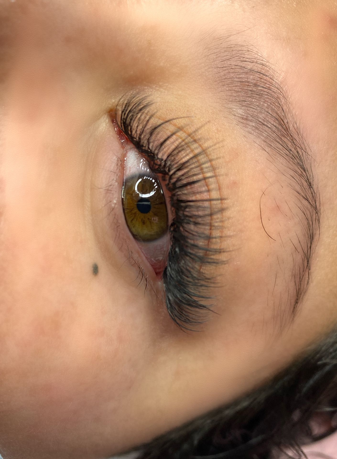 Lashes