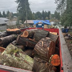 Free Cedar And Alder