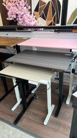 Brand new standing desks