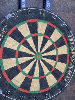Dart Board Bristleboard