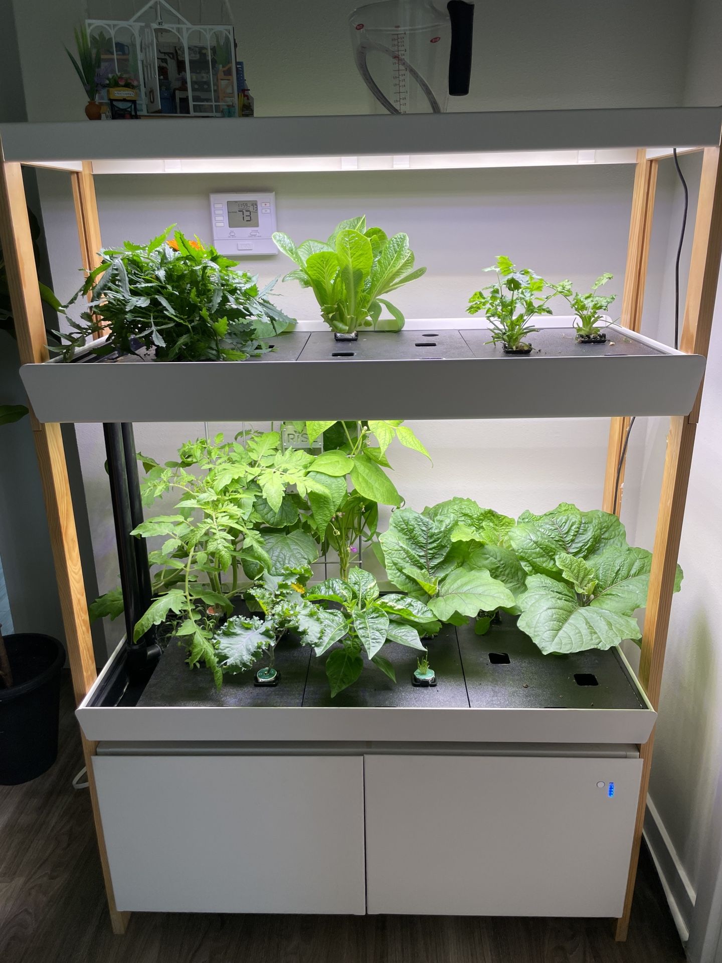 RISE hydroponic Garden