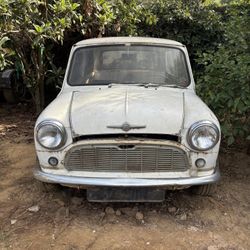 1965 Mini