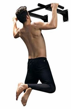Wall Mount Pull/Chin Up Bar