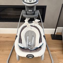 Graco DuetSoothe Swing and Rocker with Removable Swing Seat and 6 Swinging Speeds for Toddler Swing Seat and Swing Chair
