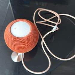 MINI HOMEPOD