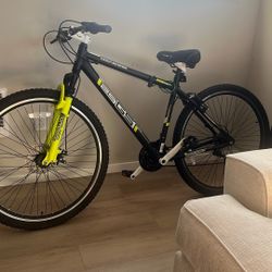 Mountain bike