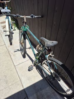 Bikes that need  a fixing