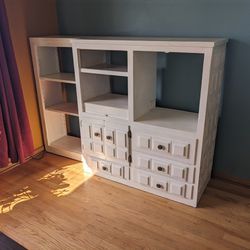 Large Bookcase/Cabinet 