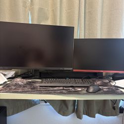 Gaming Monitors