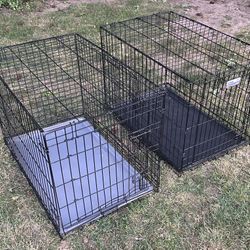 Dog Kennels 