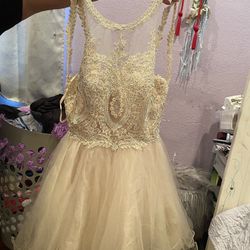 Champagne Dress 