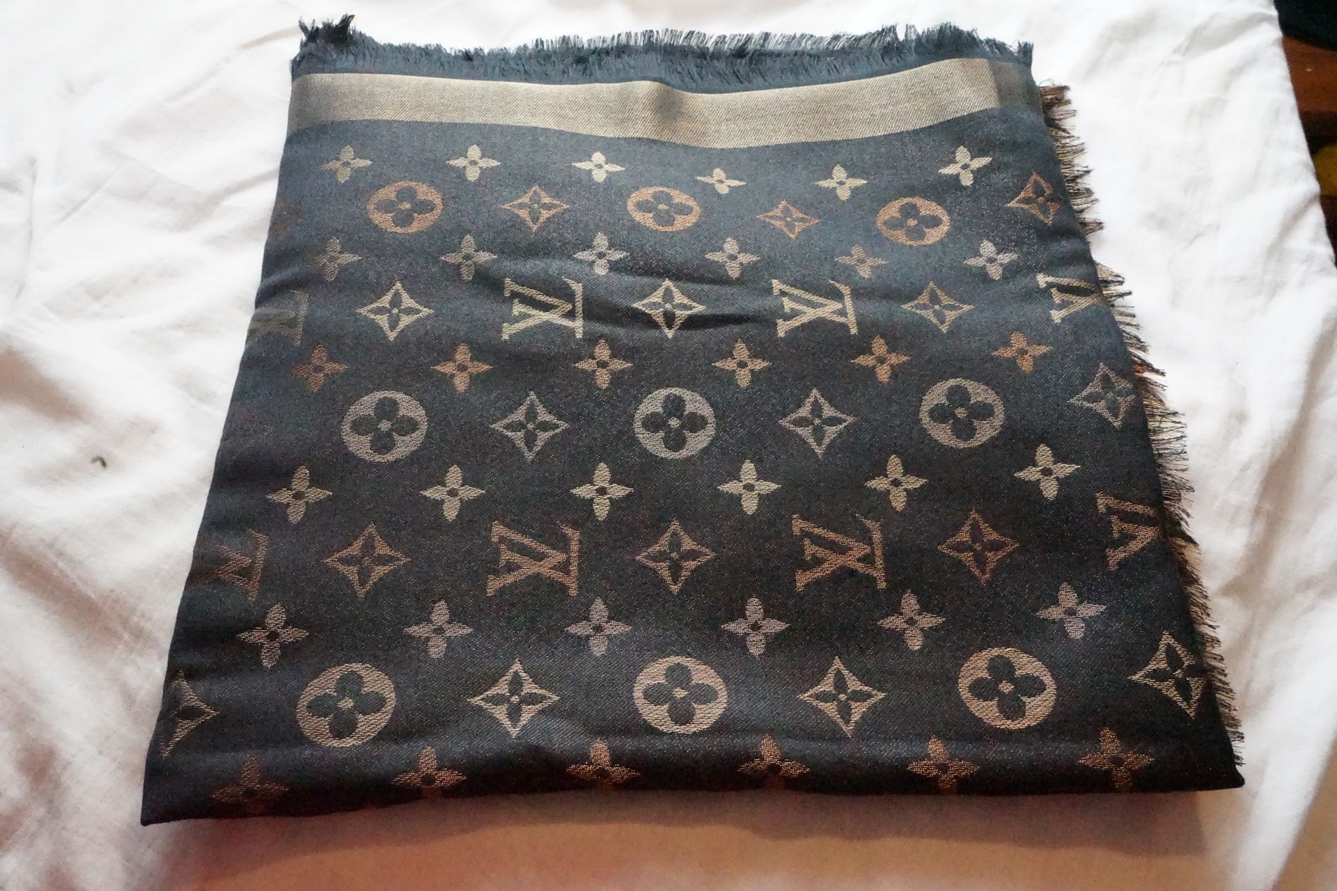 Louis Vuitton LV scarf/shawl *new*