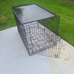 Extra Large Dog Cages  4 Available 