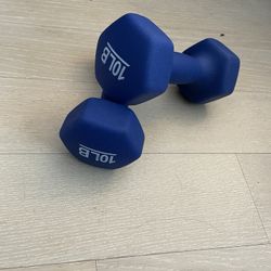 10 lb Dumbbells (Set of 2)
