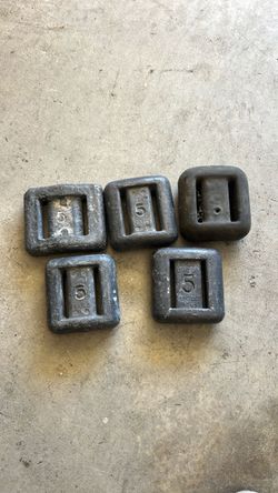 5 lb dive weights