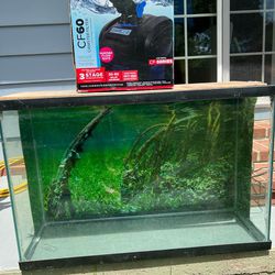 Fish Tank For Sale 55 Gallons included Water Filter 
