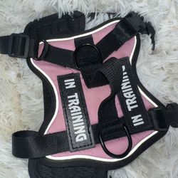 In Training Dog Vest XS