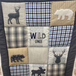 Baby Boy Wilderness Nursery Decor