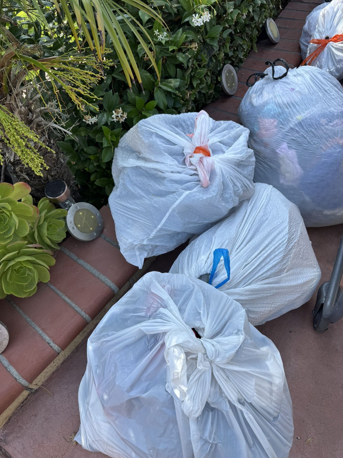 FREE CLOTHES