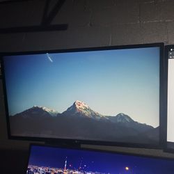 Dual LG 32' Monitors