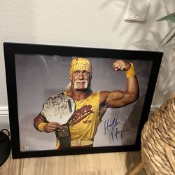 Hulk Hogan
