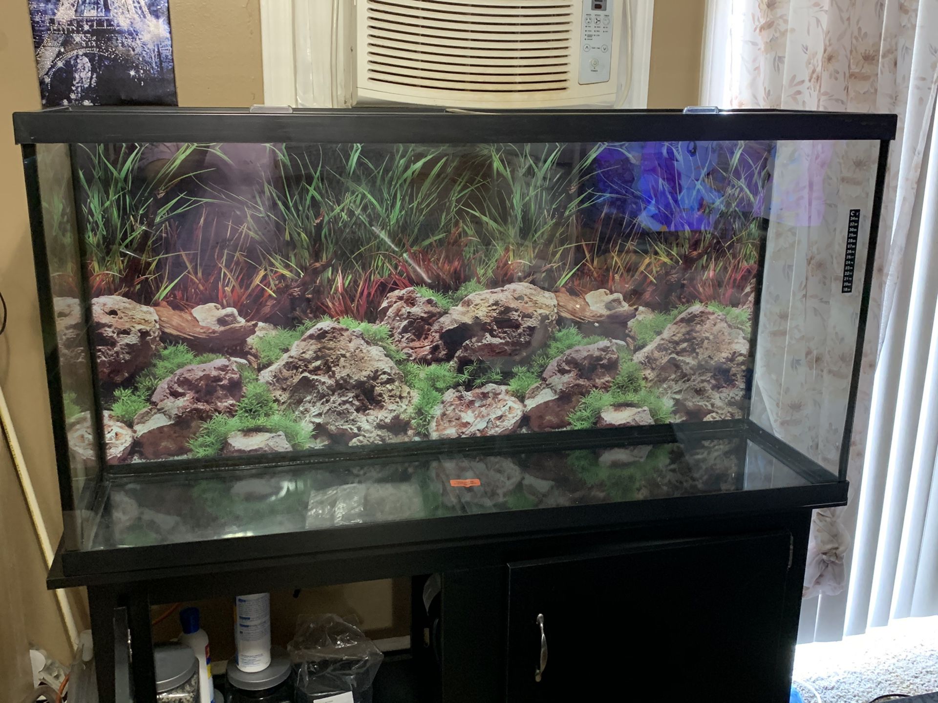 55 gallon fish tank plus stand