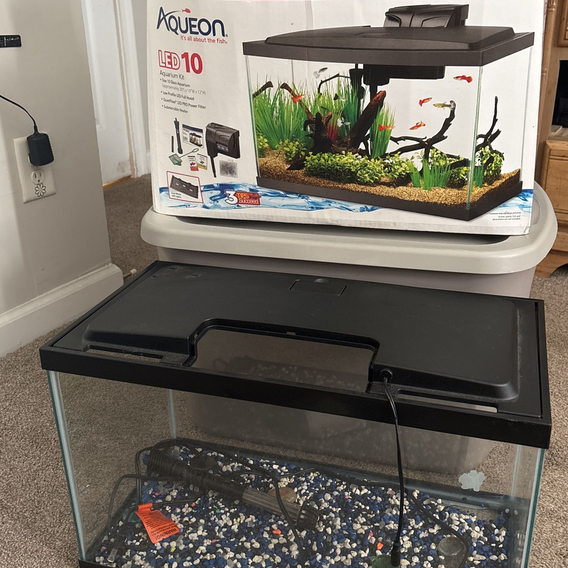 Small Aquarium
