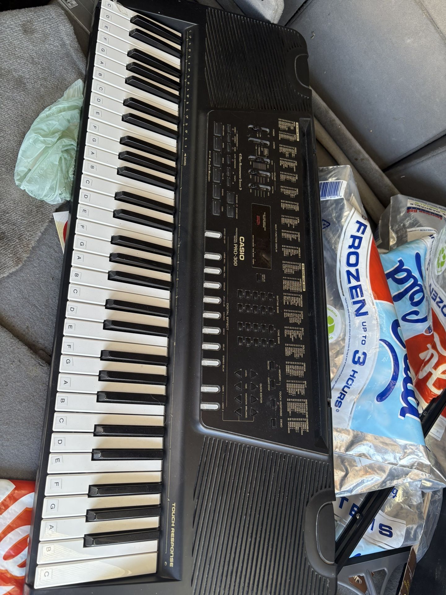 Casio Pro-300