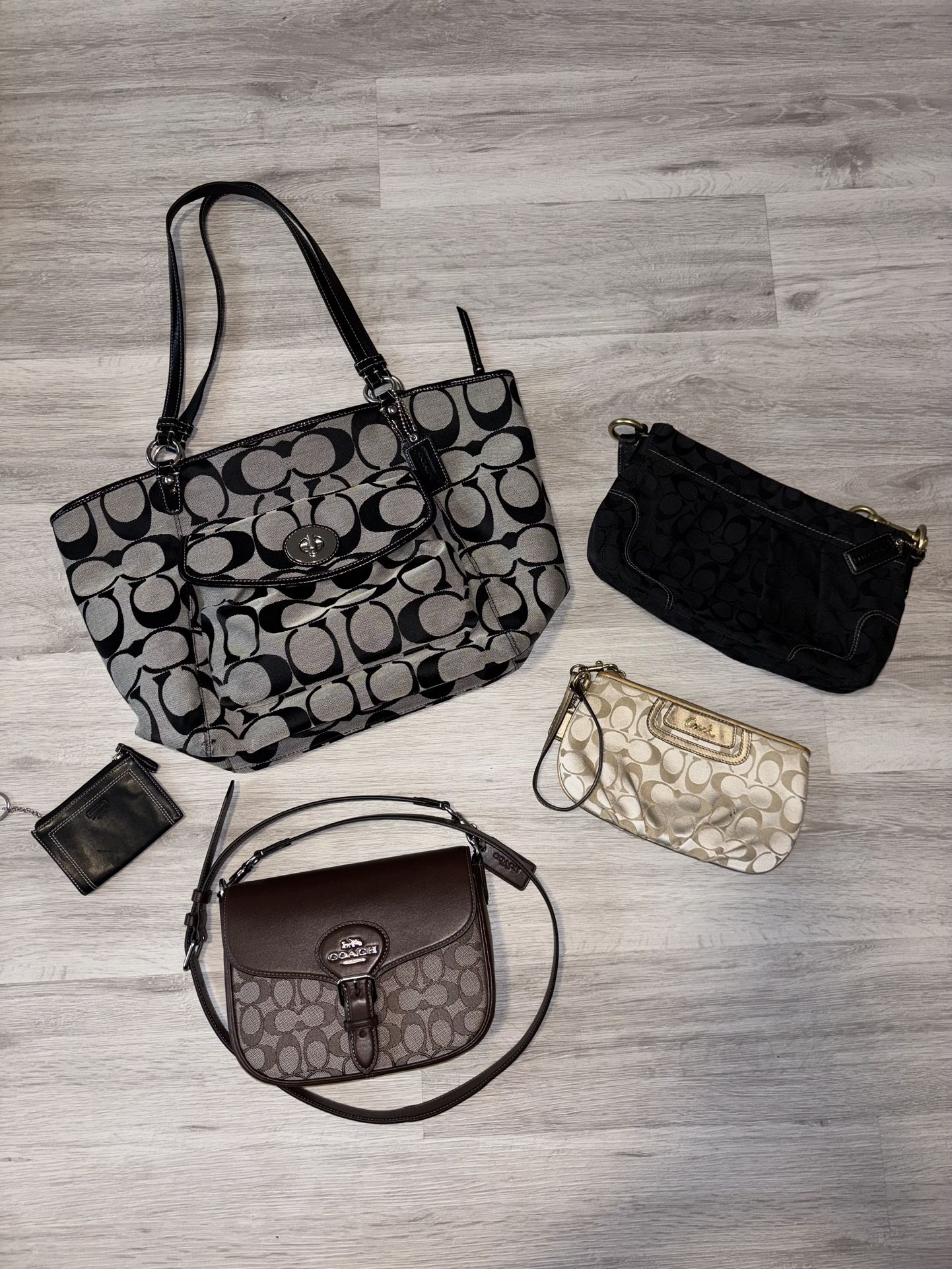 Coach Bag Bundle
