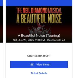 Beautiful Noise Neil Diamond