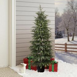 Green Branches Christmas Fir Trees with Potted,5Ft ,AP2618-5FT