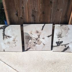 3 Piece Canvas Flower Art