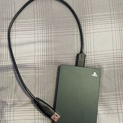 ps4 storage device and charger 