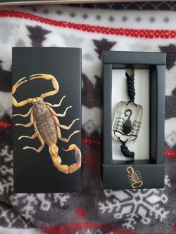New